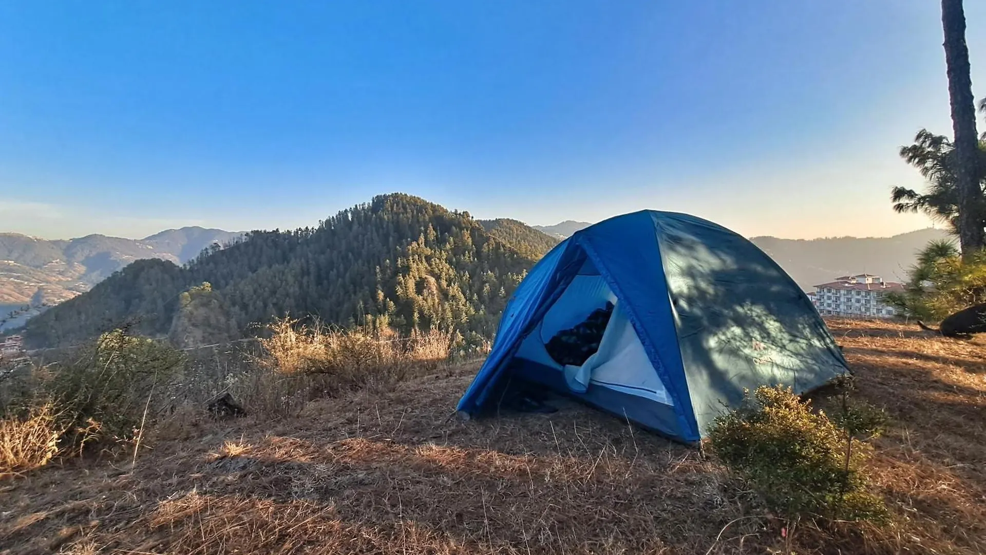 Hill Wood Camp Hotel Shimla