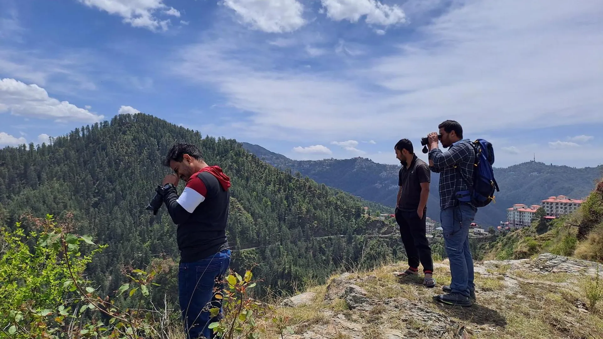 Hill Wood Camp Hotel Shimla