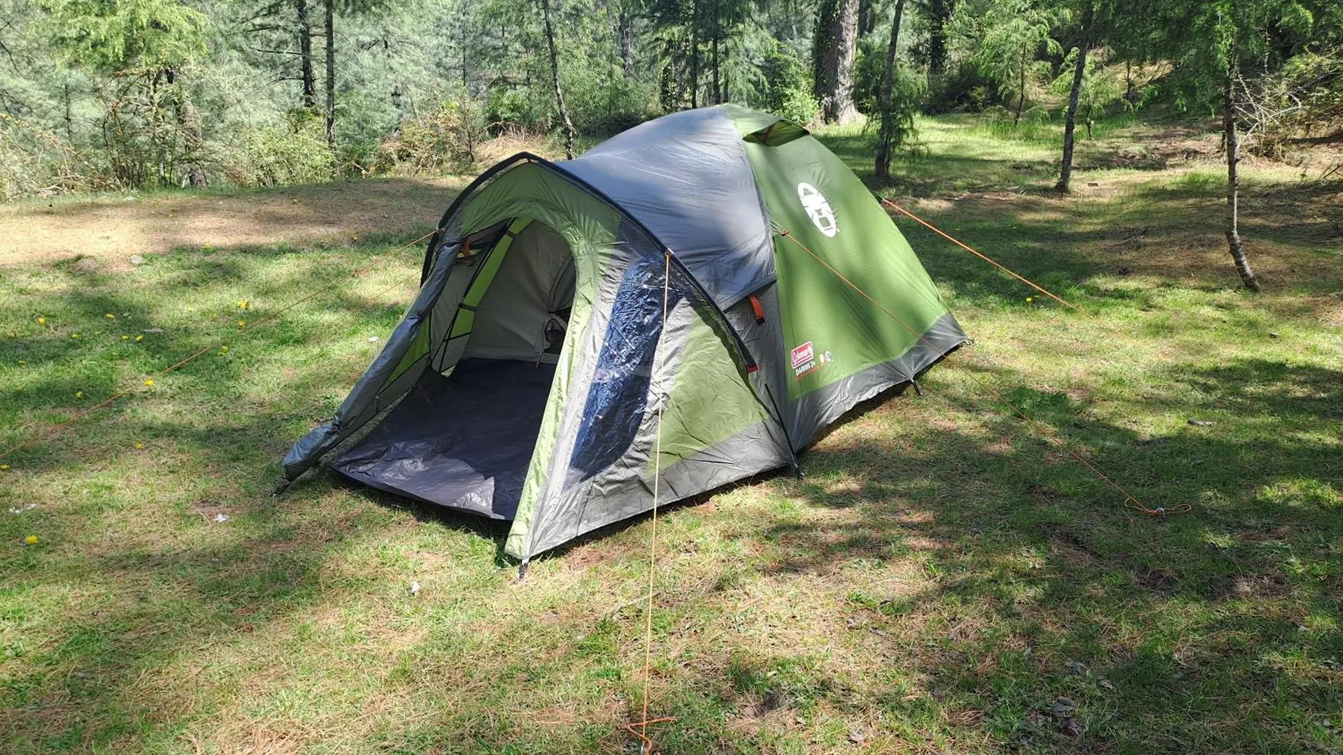 Hill Wood Camp Hotel Shimla 0*,