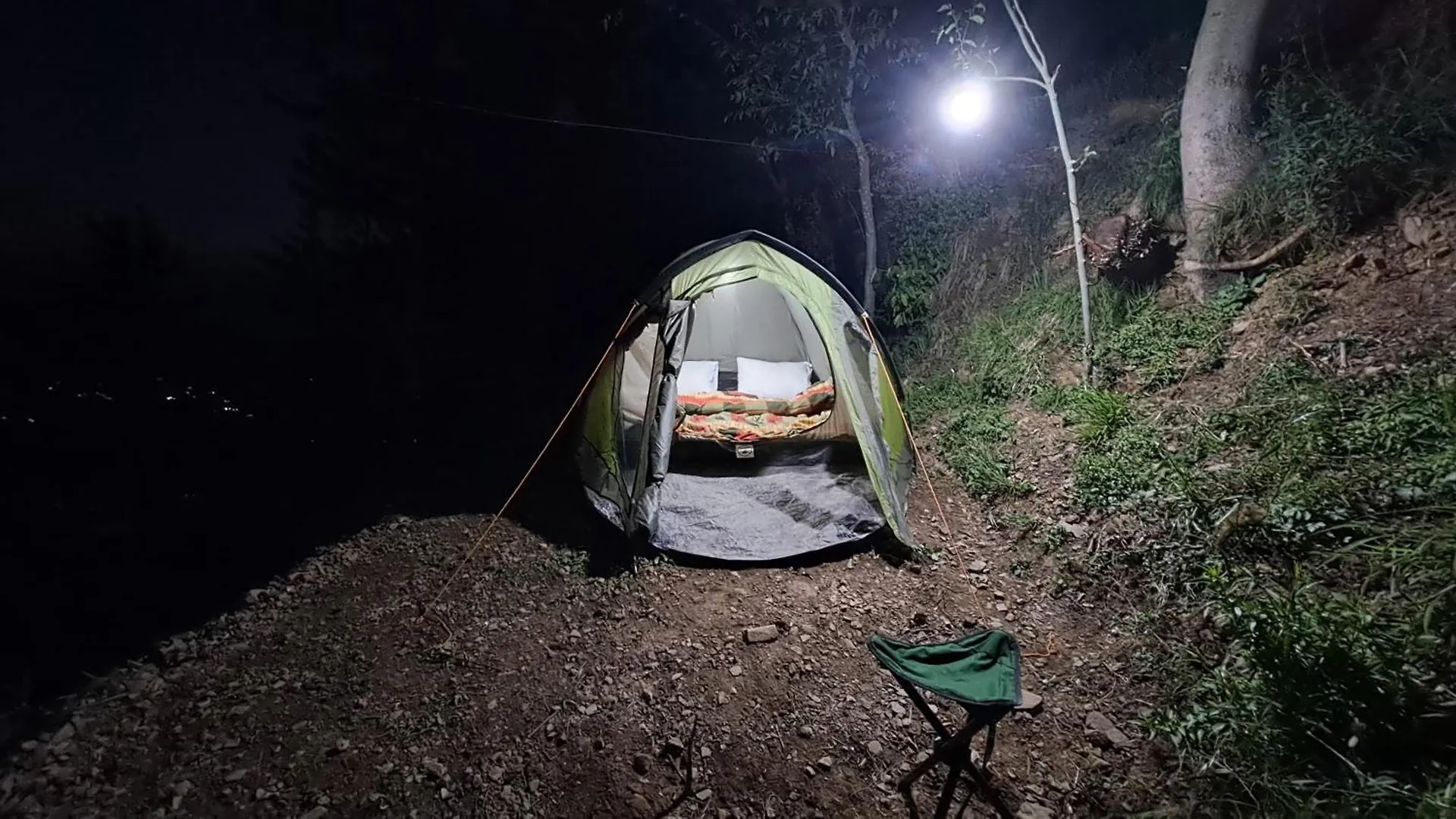 Hill Wood Camp Hotel Shimla Campsite