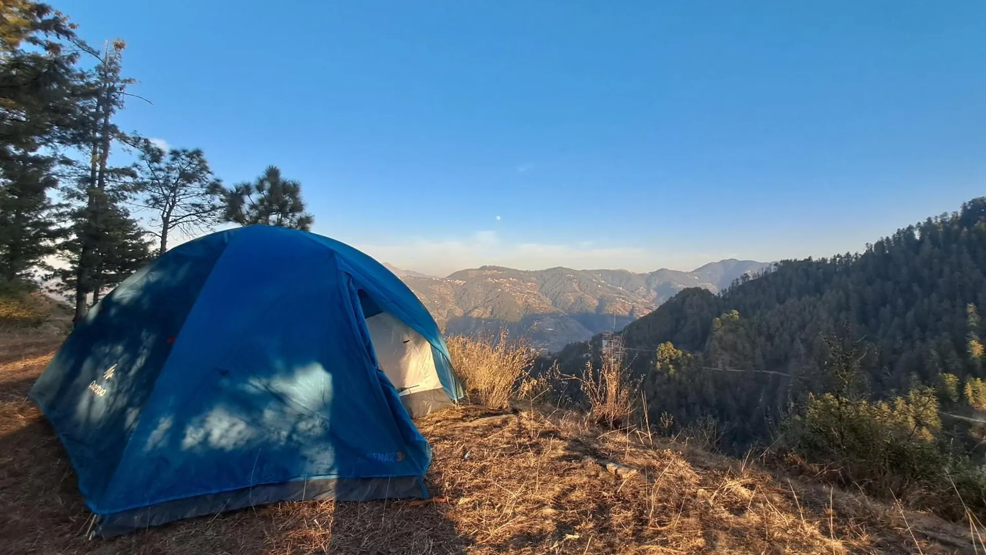 Campsite Hill Wood Camp Hotel Shimla